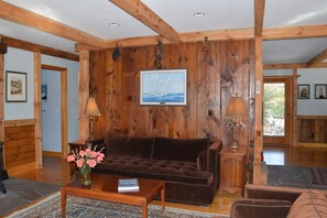 Smart TV, chimenea, reproductor de DVD y libros 