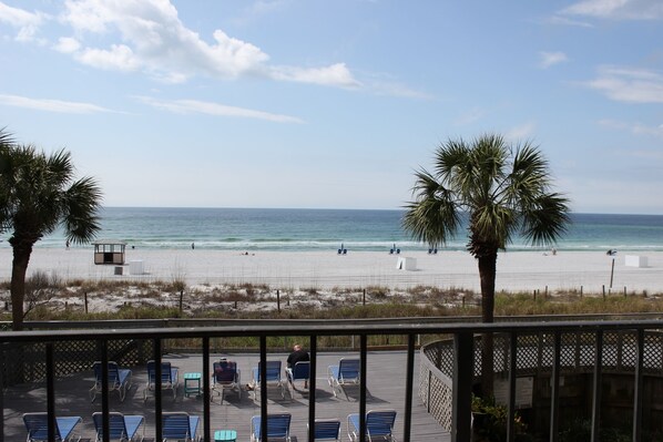 A beach view from a balcony with blue lounge chairs and a palm tree.