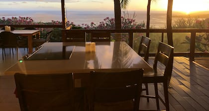 Stunning oceanview property minutes from dolphins