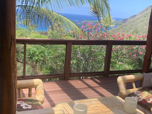 Stunning oceanview property minutes from dolphins