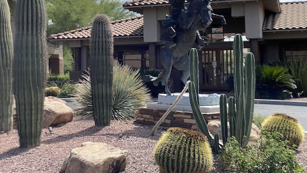 A cactus garden with a statue of a man on horseback, surrounded by various cacti and rocks. - STEPS From the Pool! Relax in your Comfy Pool-side Condo! (Oro Valley)