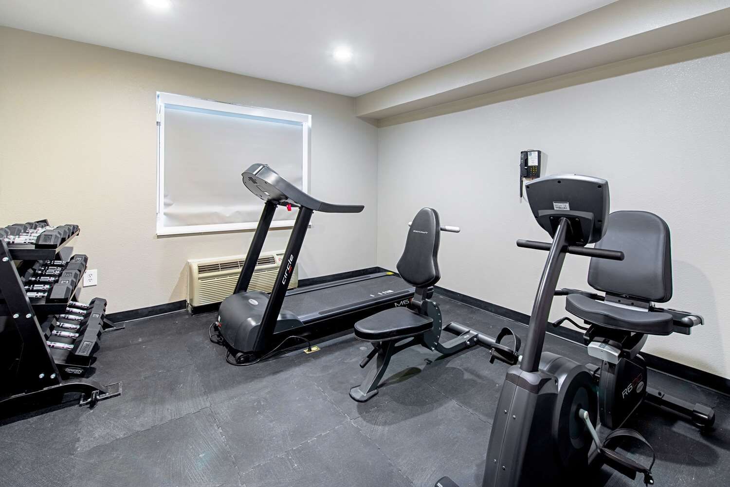 A gym with a treadmill, bench press, and dumbbells.