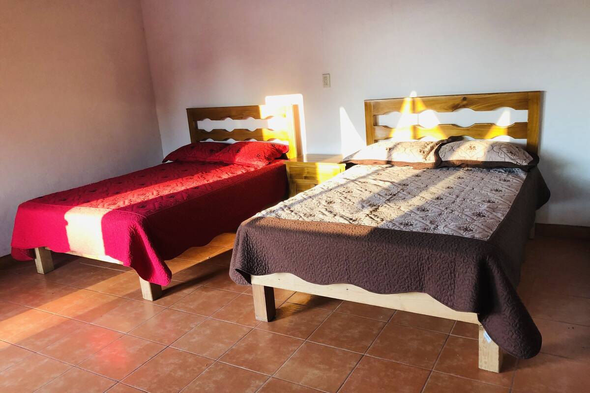 Basic Triple Room, Multiple Beds, Pool View | WiFi (free)