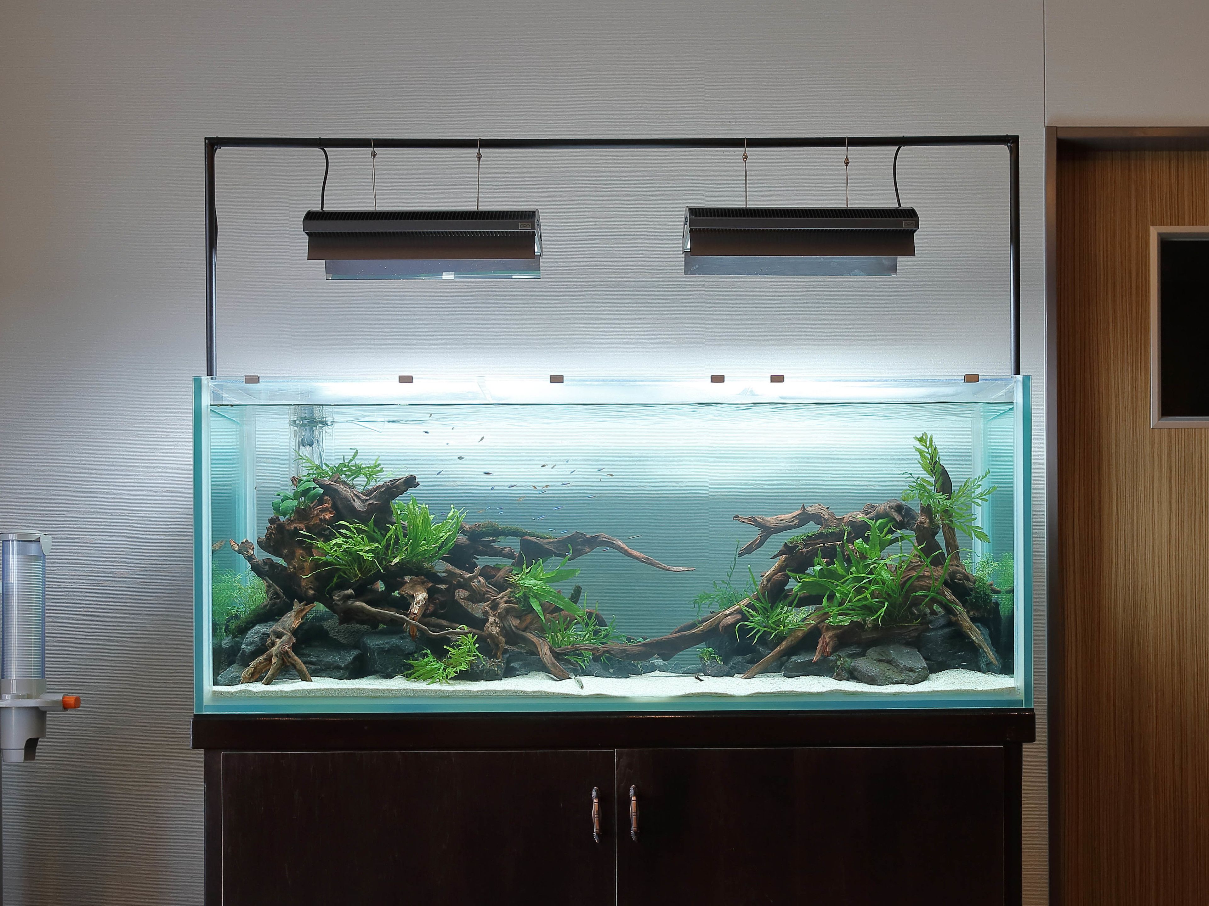 Servicio de la propiedad