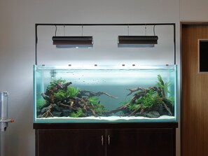 Équipement de l’hébergement