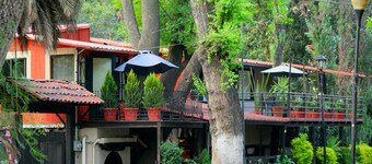 Posada Los Ahuehuetes