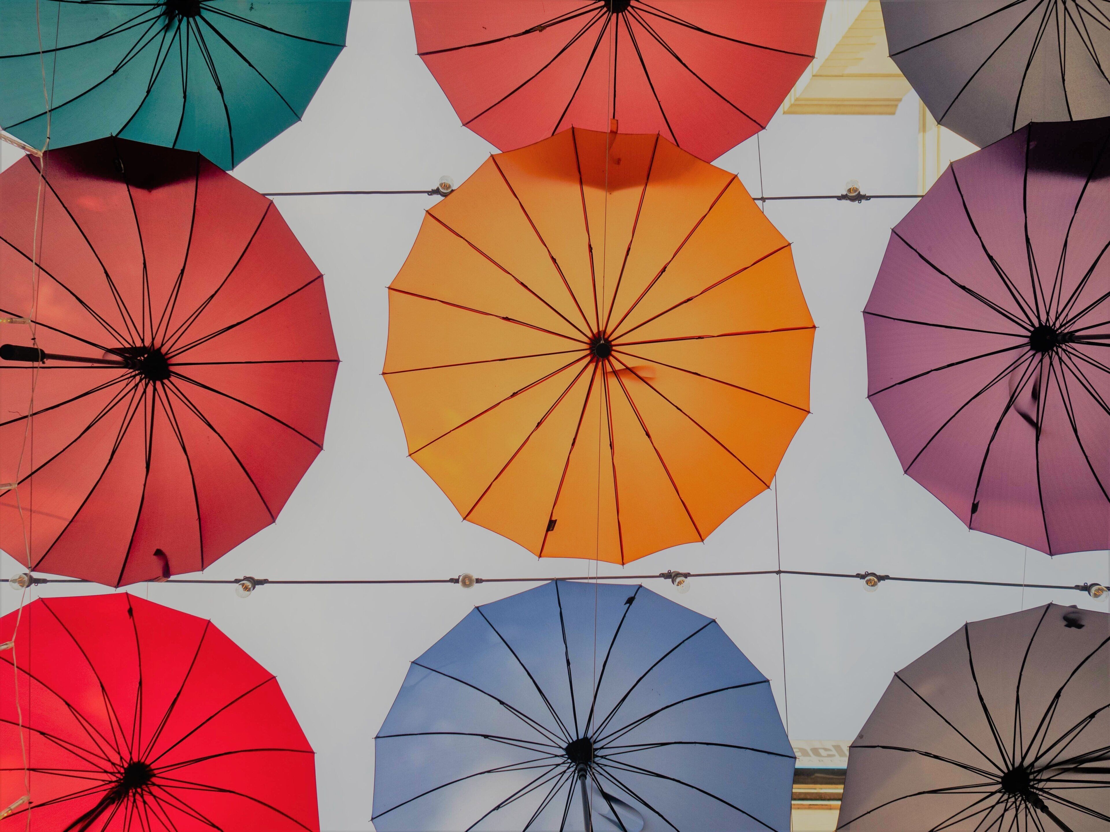 Un plafond orné de plusieurs parapluies disposés selon un motif en réseau.