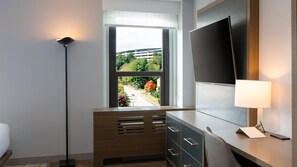 Habitación estándar, 1 cama King size (Communications Accessible) | Vista desde la habitación