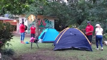 A group of people near tents in a garden with a mural and a building in the background.