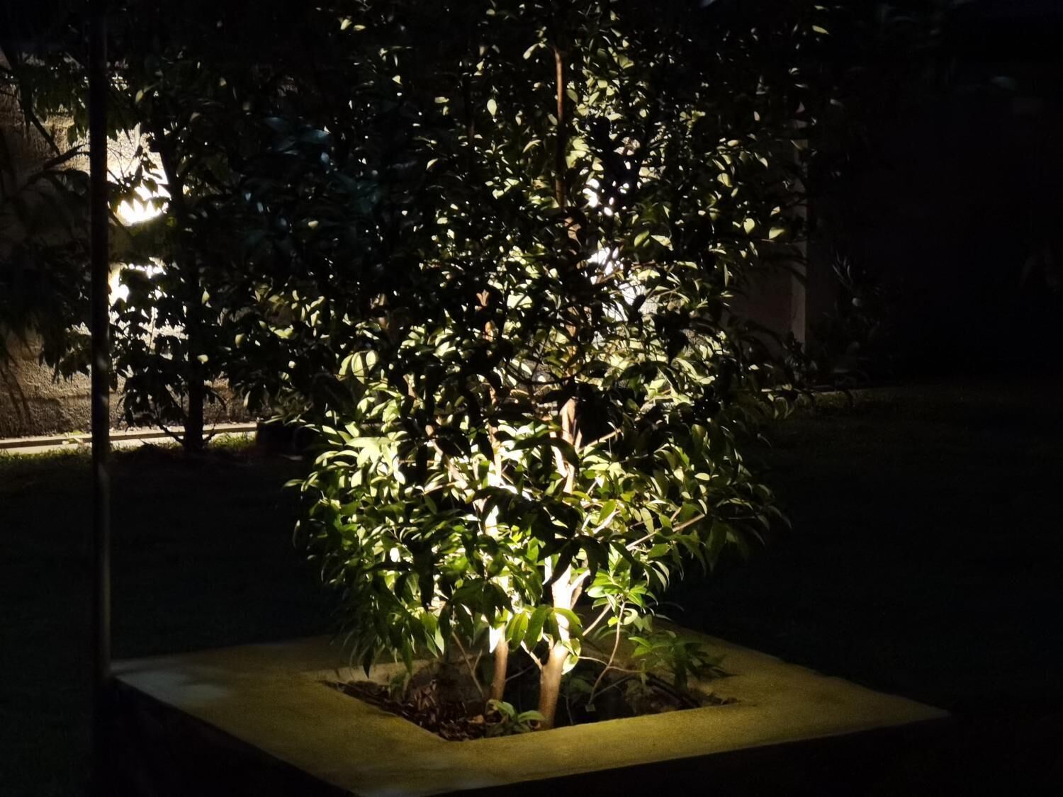 Áreas de la propiedad