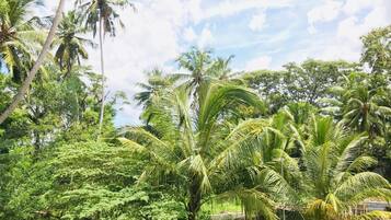 Kawasan hartanah