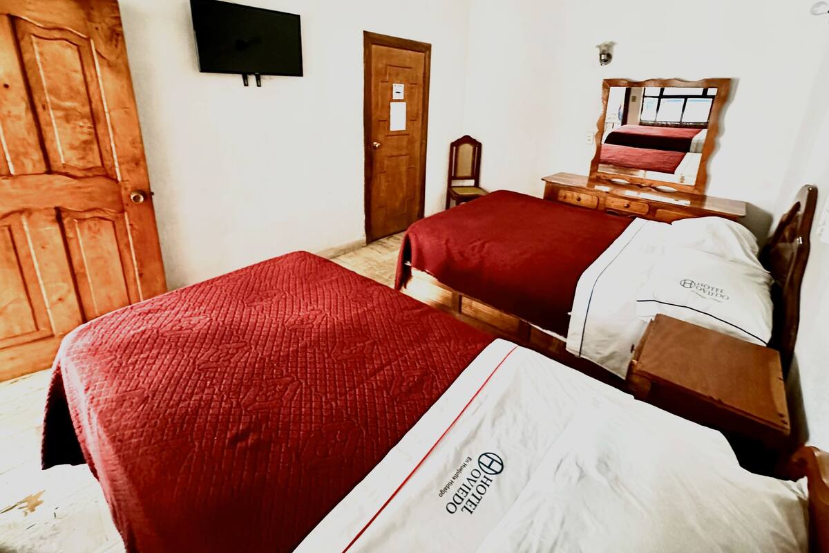Une chambre d’hôtel avec deux lits, une porte en bois, un téléviseur, un miroir et une petite table.