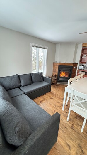 Smart TV, fireplace, DVD player