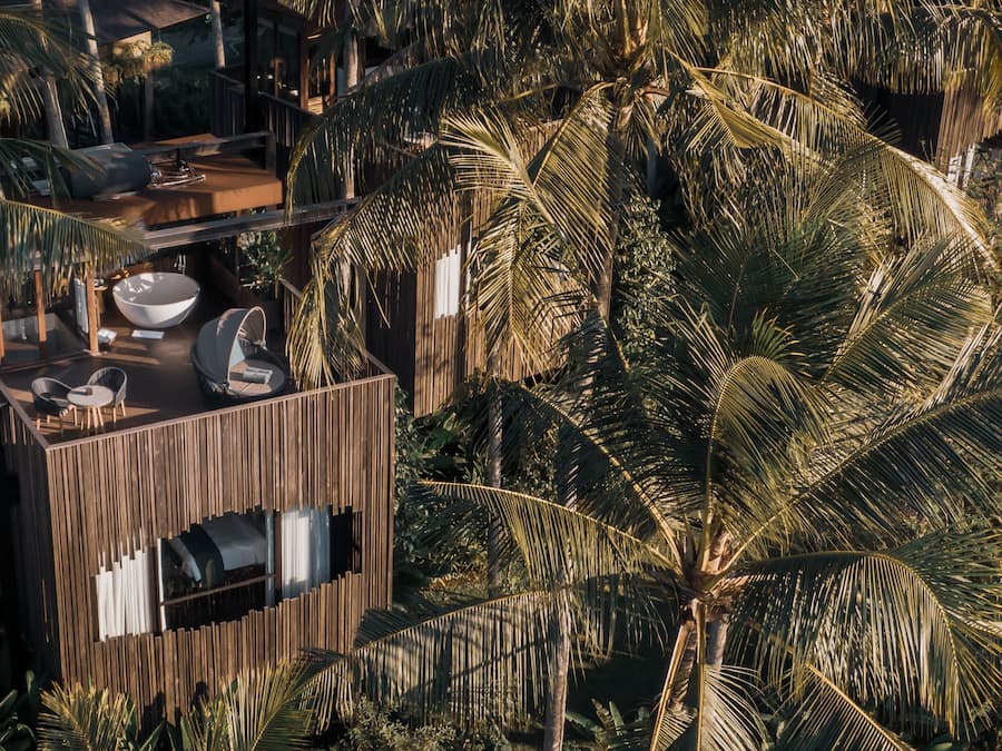 Canopy Suite | View from room