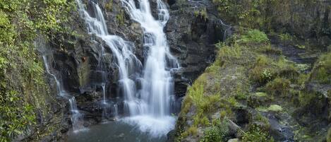 Una cascada que se precipita sobre terreno rocoso, rodeada de exuberante vegetación.