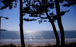 Una playa con árboles y cielo despejado.