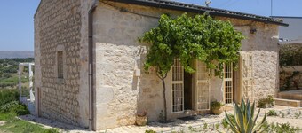 The terrace overlooking the olive trees - loft Moresca