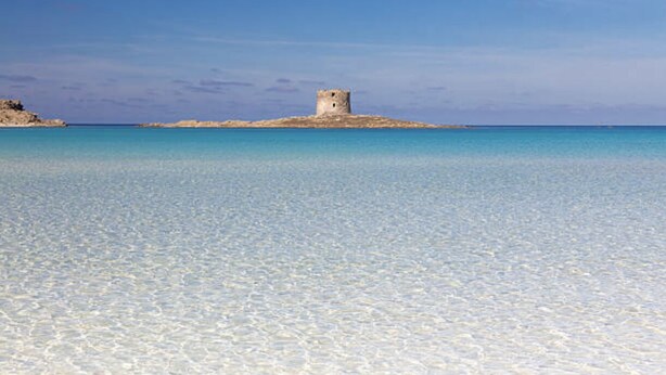 A clear turquoise sea with a small island featuring a stone tower. - Stintino Villa Regina with independent swimming pool, 3 bedrooms, 2 bathrooms (Stintino)
