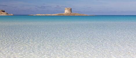 Plage, chaises longues, serviettes de plage