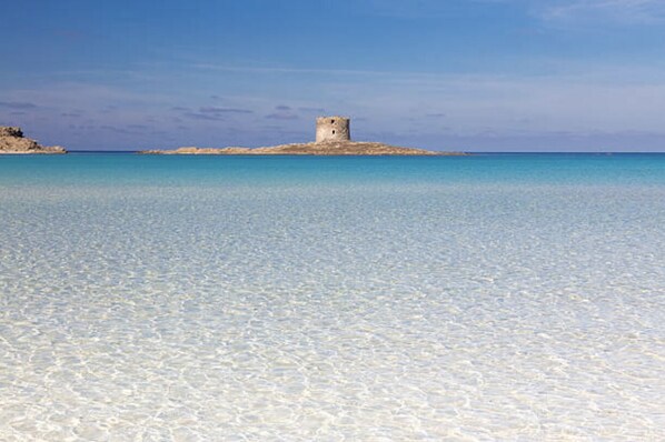 A la platja, gandules de platja i tovalloles de platja