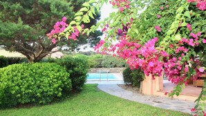 A landscaped garden with a swimming pool, well-maintained grass, and flowering plants. - Stintino Villa Regina with independent swimming pool, 3 bedrooms, 2 bathrooms (Stintino)