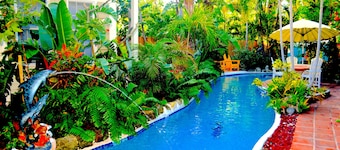 Lazy River Pool, Enchanting Garden, Old Town Key West, Free WiFi, Bikes & Parkin
