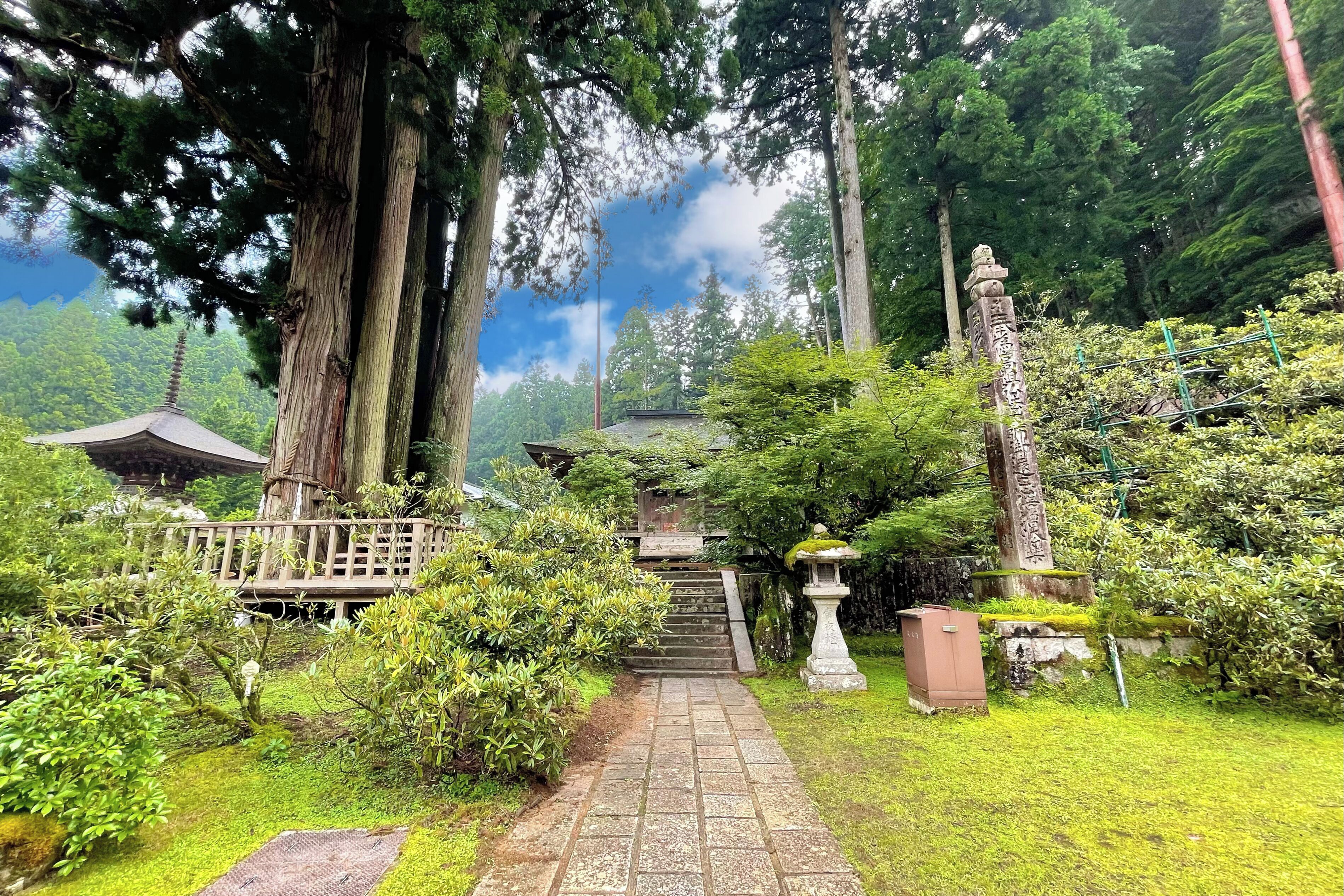 A stone pathway leading to a traditional Japanese structure surrounded by lush greenery and tall trees.