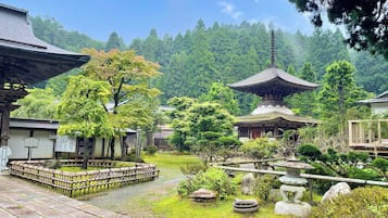 Japanese garden