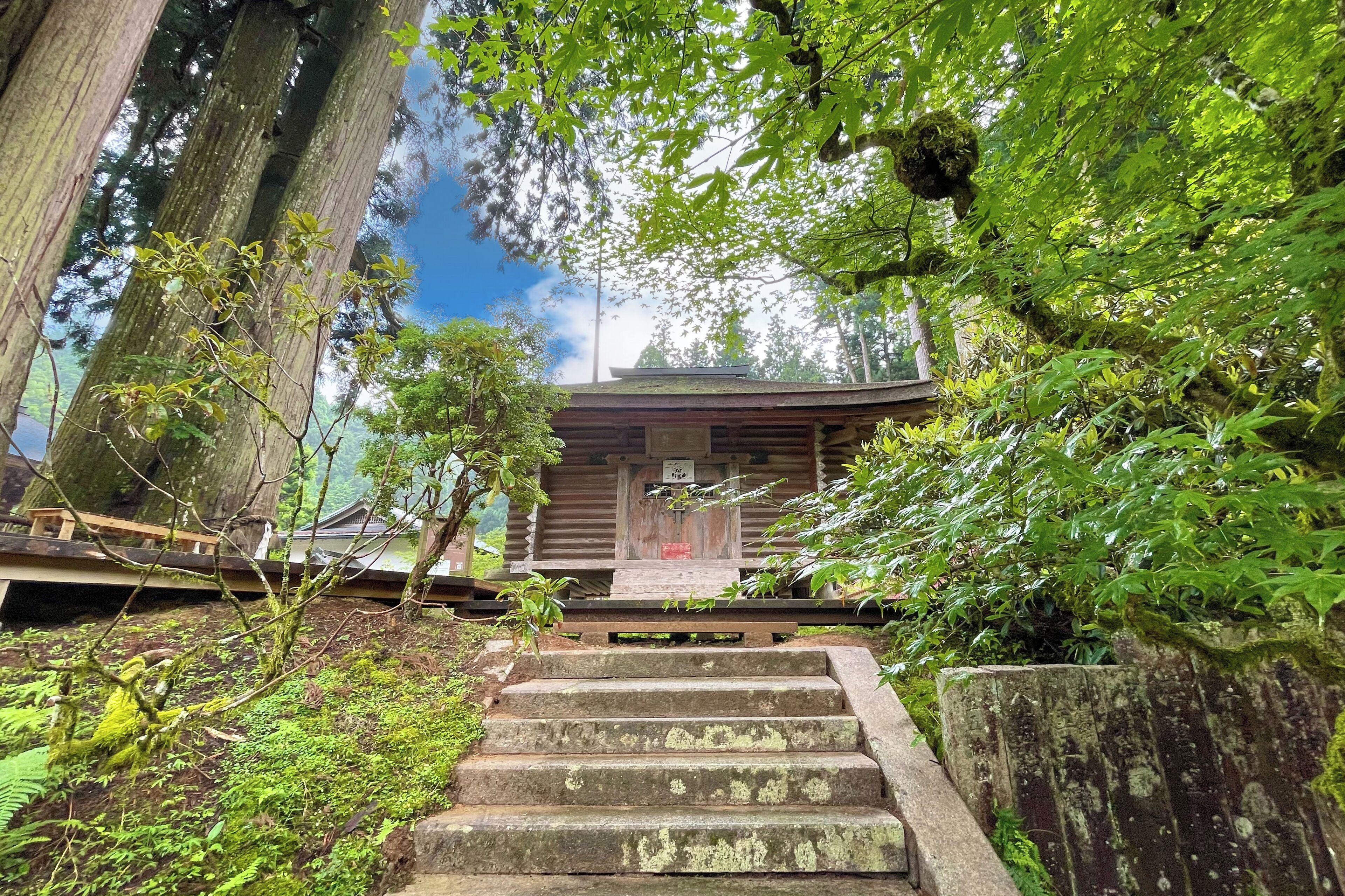 Servicio de la propiedad