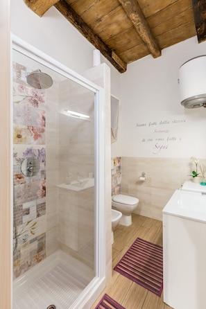 Shower, free toiletries, hair dryer, bidet