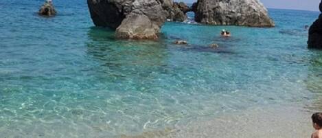 بالقرب من الشاطئ