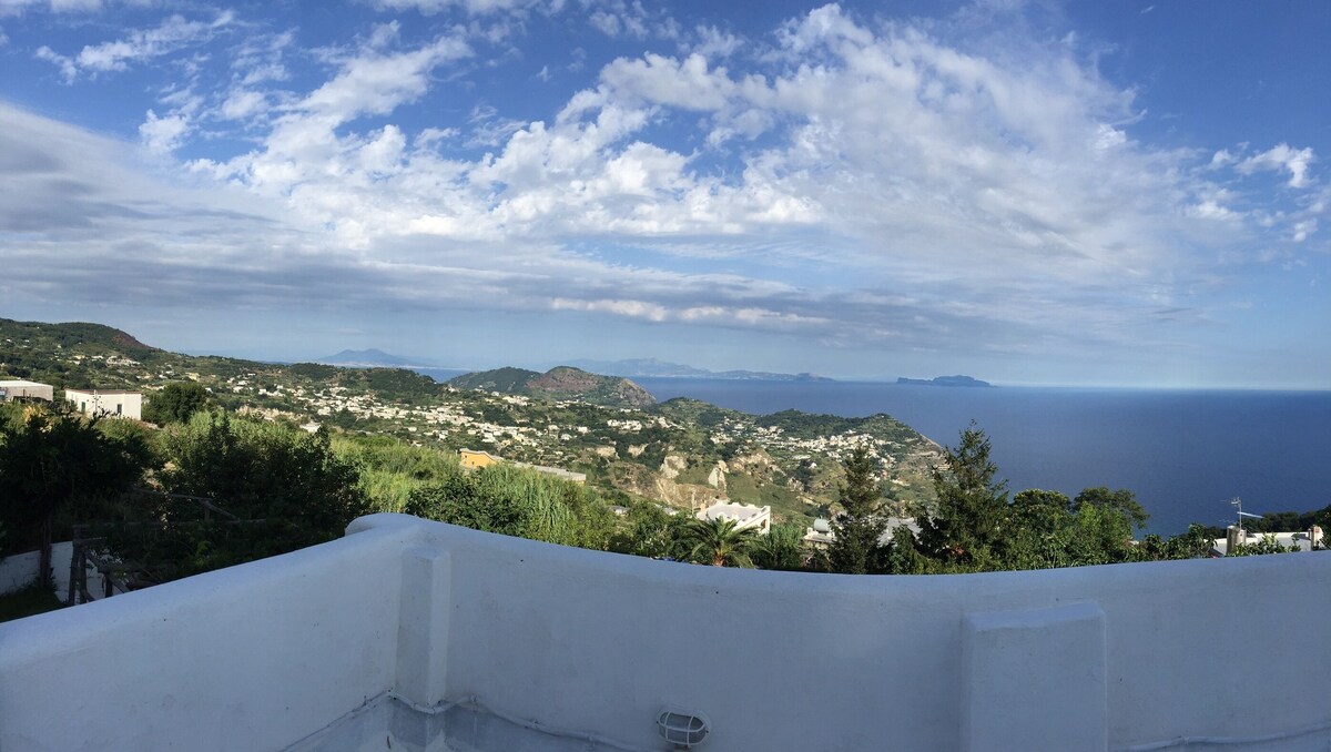 Imagen de perfil del propietario o de la propietaria