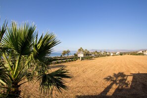 A dry, open field with a palm tree in the foreground and a clear blue sky. - G&E Beach Apartments (Polis)