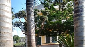 Uma área de jardim com palmeiras, um vaso com flores vermelhas e um edifício ao fundo.