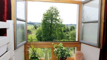 Apartment, 2 Bedrooms (Ludwig Suite) | View from room