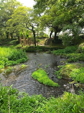 Property grounds - Monohana (Kumamoto)