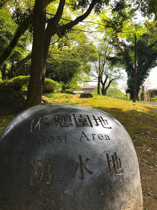 A stone marker with inscriptions indicating a 'Rest Area' and 'Springs.'