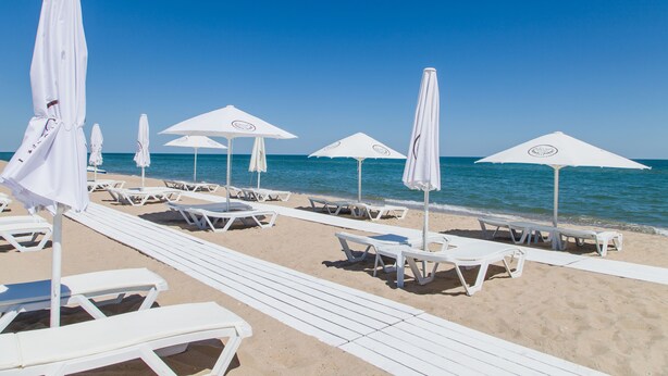 A beach with white lounge chairs and umbrellas aligned along the shore.