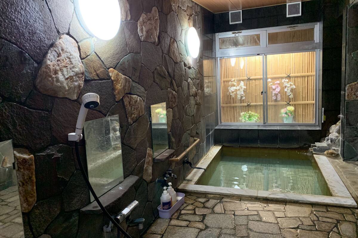 Separate tub and shower, free toiletries, hair dryer (on request)