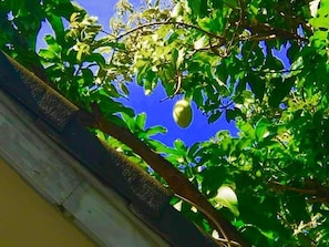 View from room - guesthouse ippun (Bangkok)