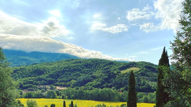 A pool surrounded by a lush garden with a view of rolling hills and a distant village. - Villa Montanina - Relax in Tuscany (Castel Focognano)