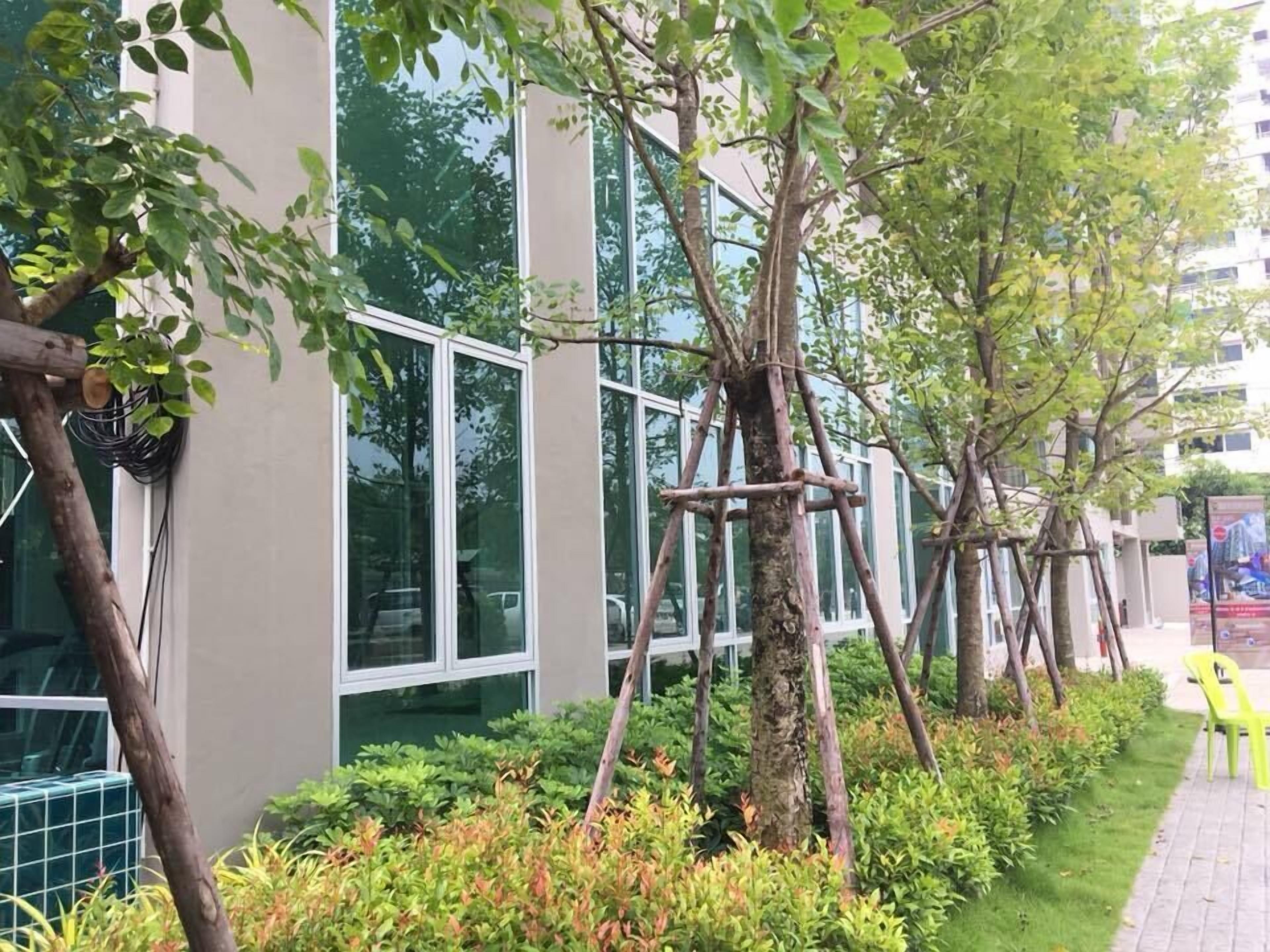 A building with large windows, a tree supported by a wooden structure, and a paved walkway with greenery.
