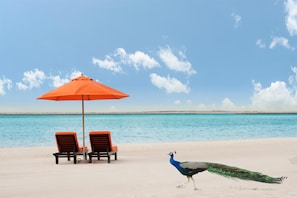 Private beach nearby, white sand, free beach shuttle, sun-loungers