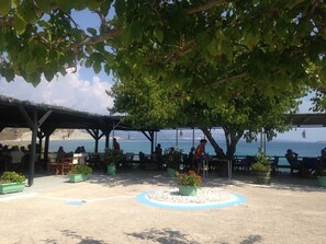 An outdoor seating area with tables and chairs under a tree, overlooking a body of water.