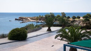 A coastal walkway with palm trees, a clear view of the sea, and a rocky shoreline.