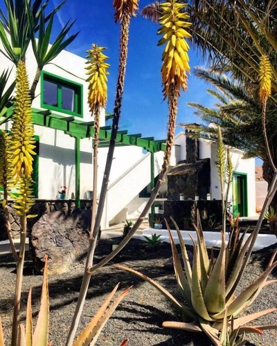 Casa del Erizo - Ecofinca