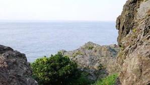 A rocky coastal path leading to the sea, with a paved walkway and greenery. - Furusato No Yado Kobase (Echizen)