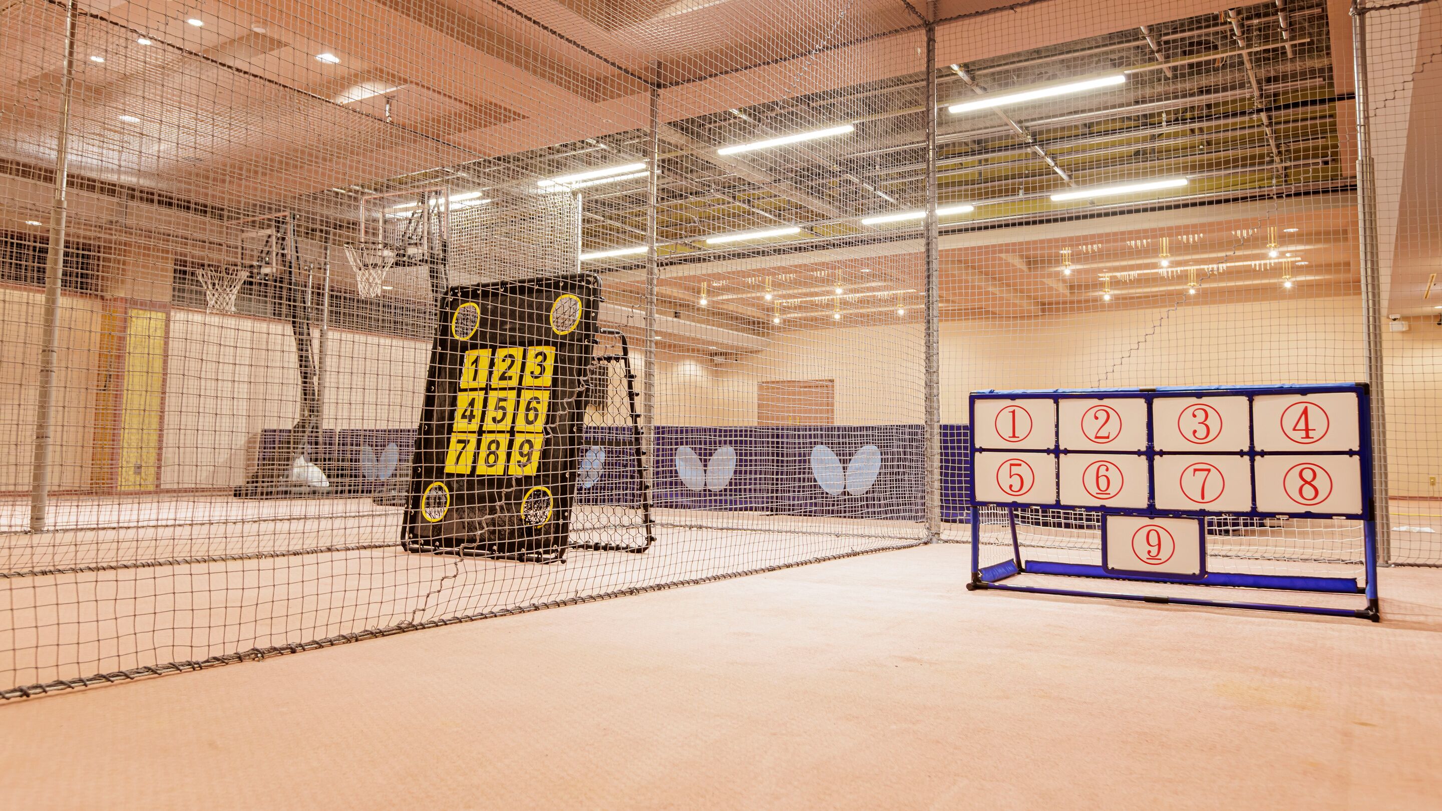 A sports facility with a netted area, a scoreboard, and numbered target boards.
