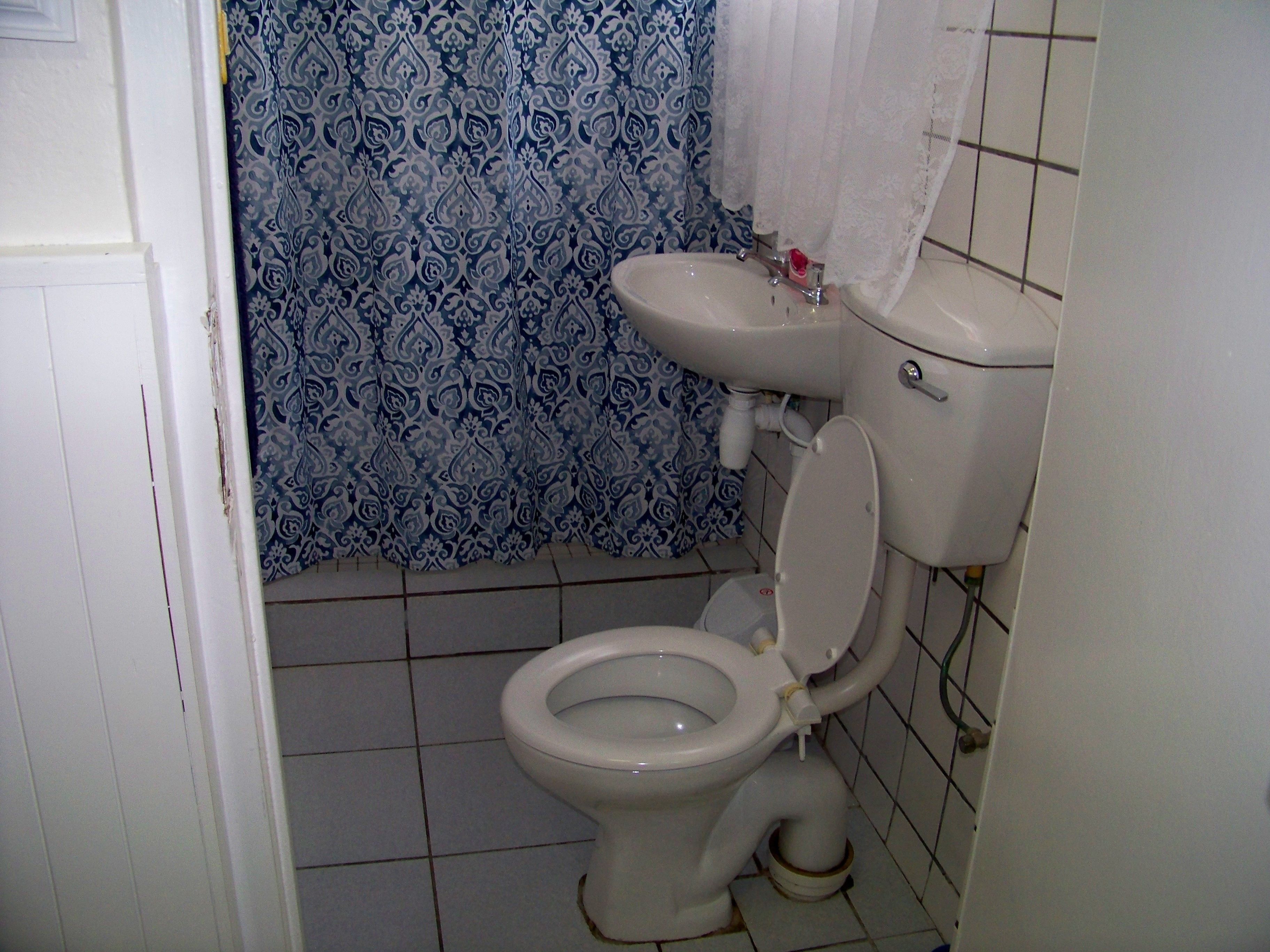 A bathroom with a toilet, sink, and patterned shower curtain.