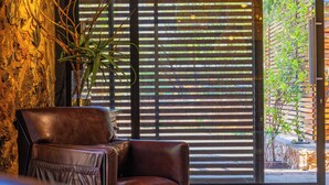 Een leren fauteuil voor een raam met horizontale jaloezieën, een potplant en een structuurmuur.